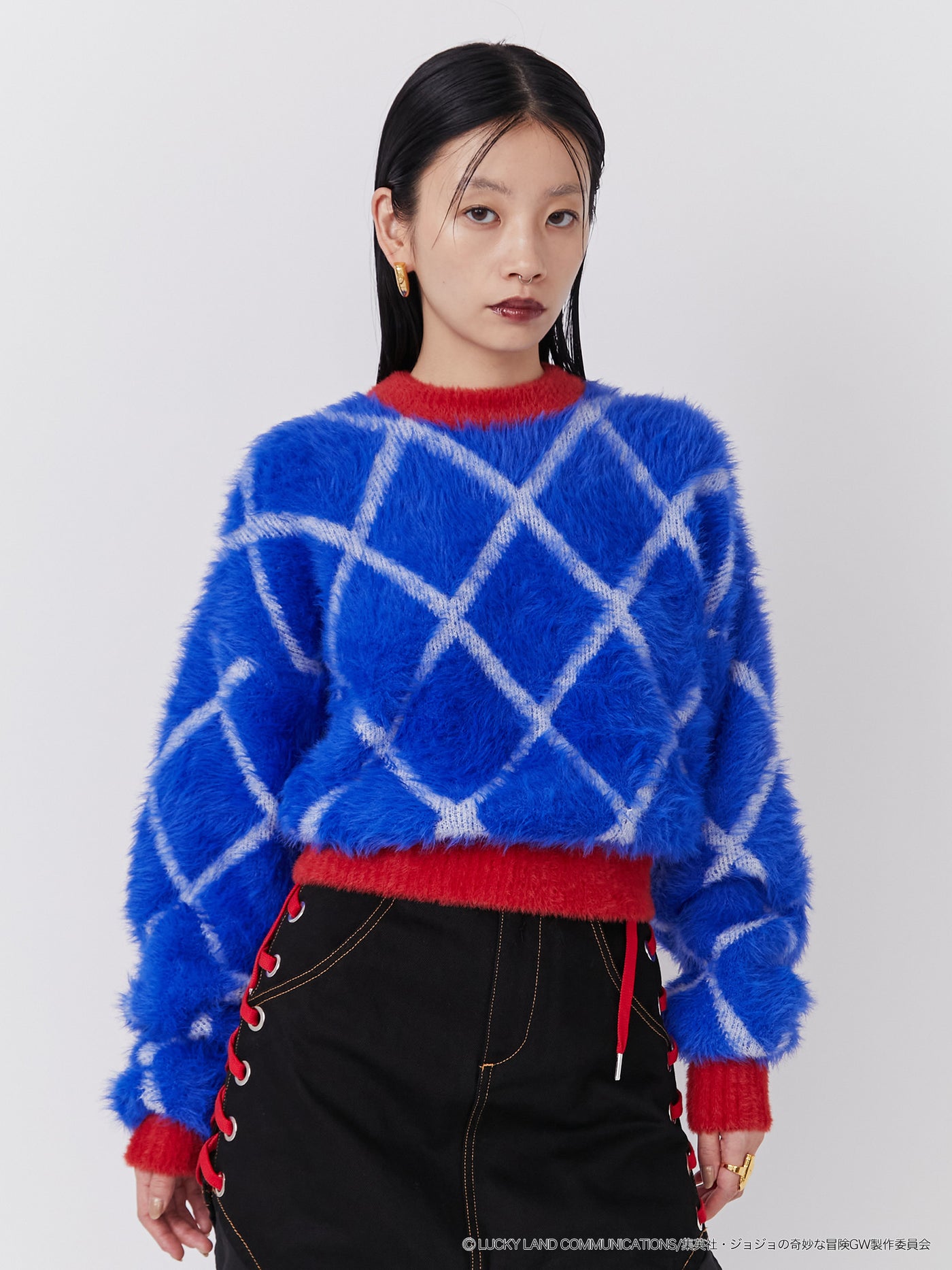 美品】PAMEO POSE ニット プードル
