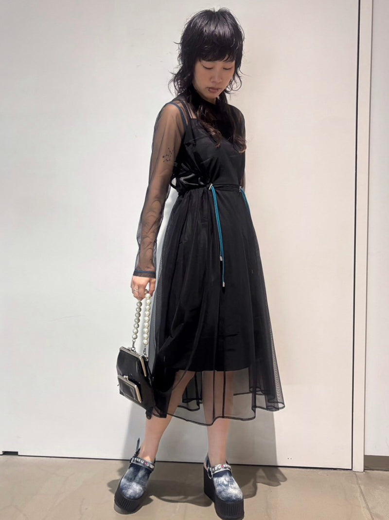 Sheer Point Line Dress