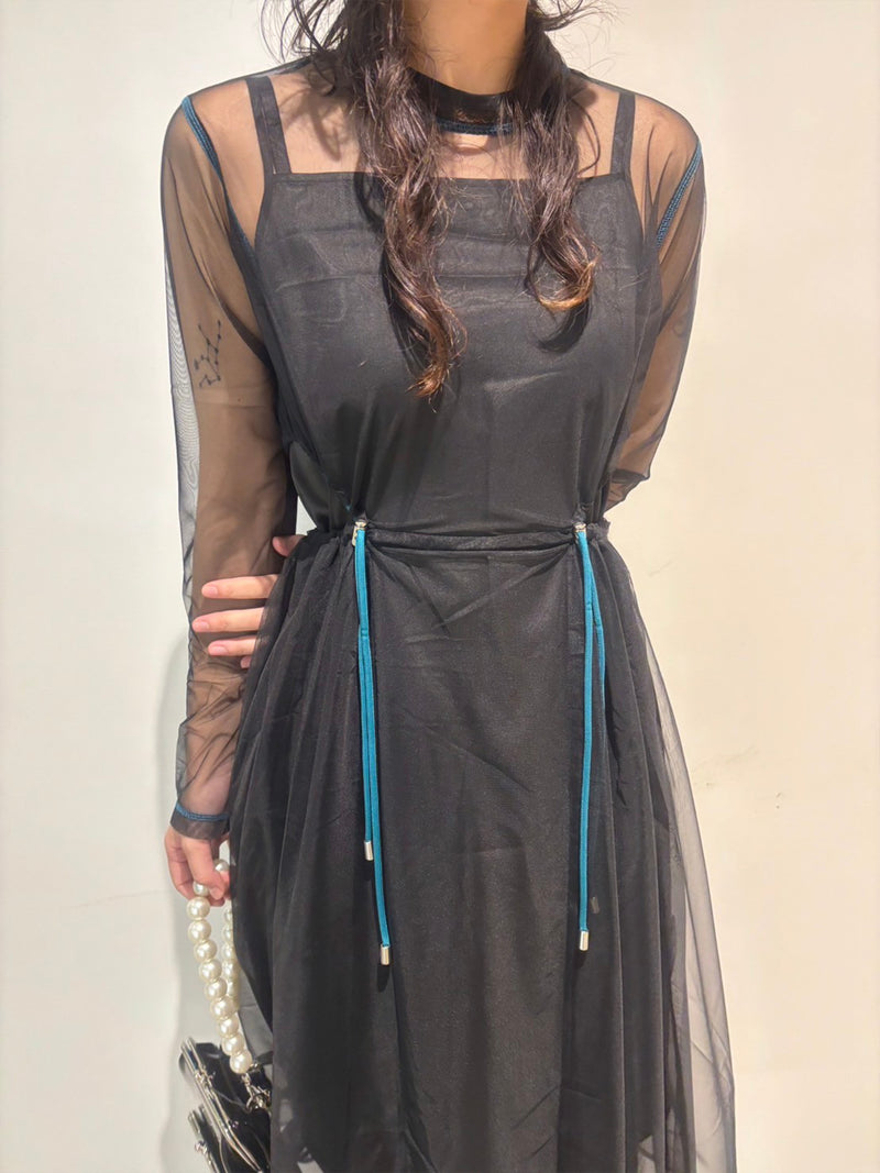 Sheer Point Line Dress