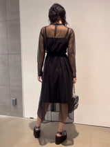 Sheer Point Line Dress