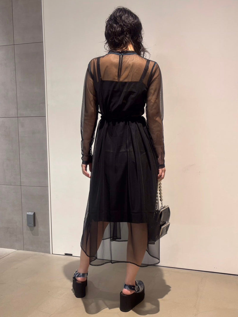 Sheer Point Line Dress