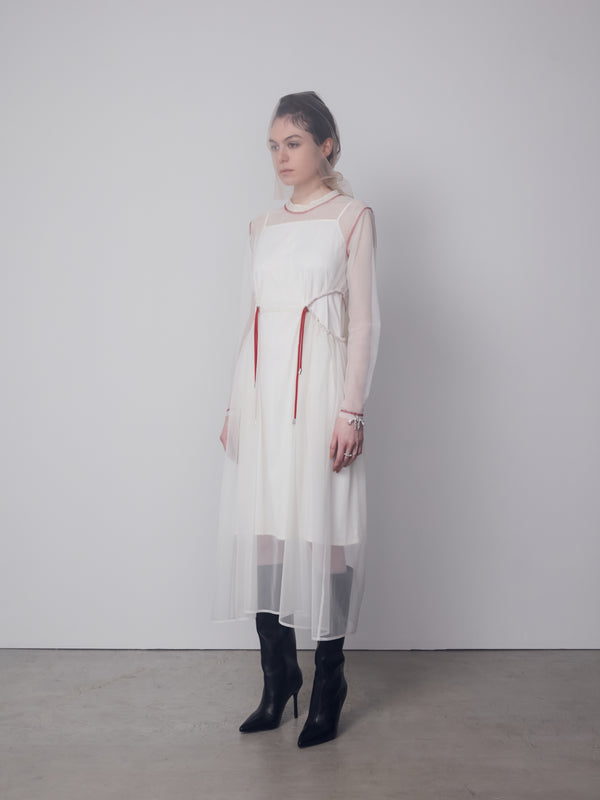 Sheer Point Line Dress