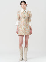 Rose Lover Mini Dress