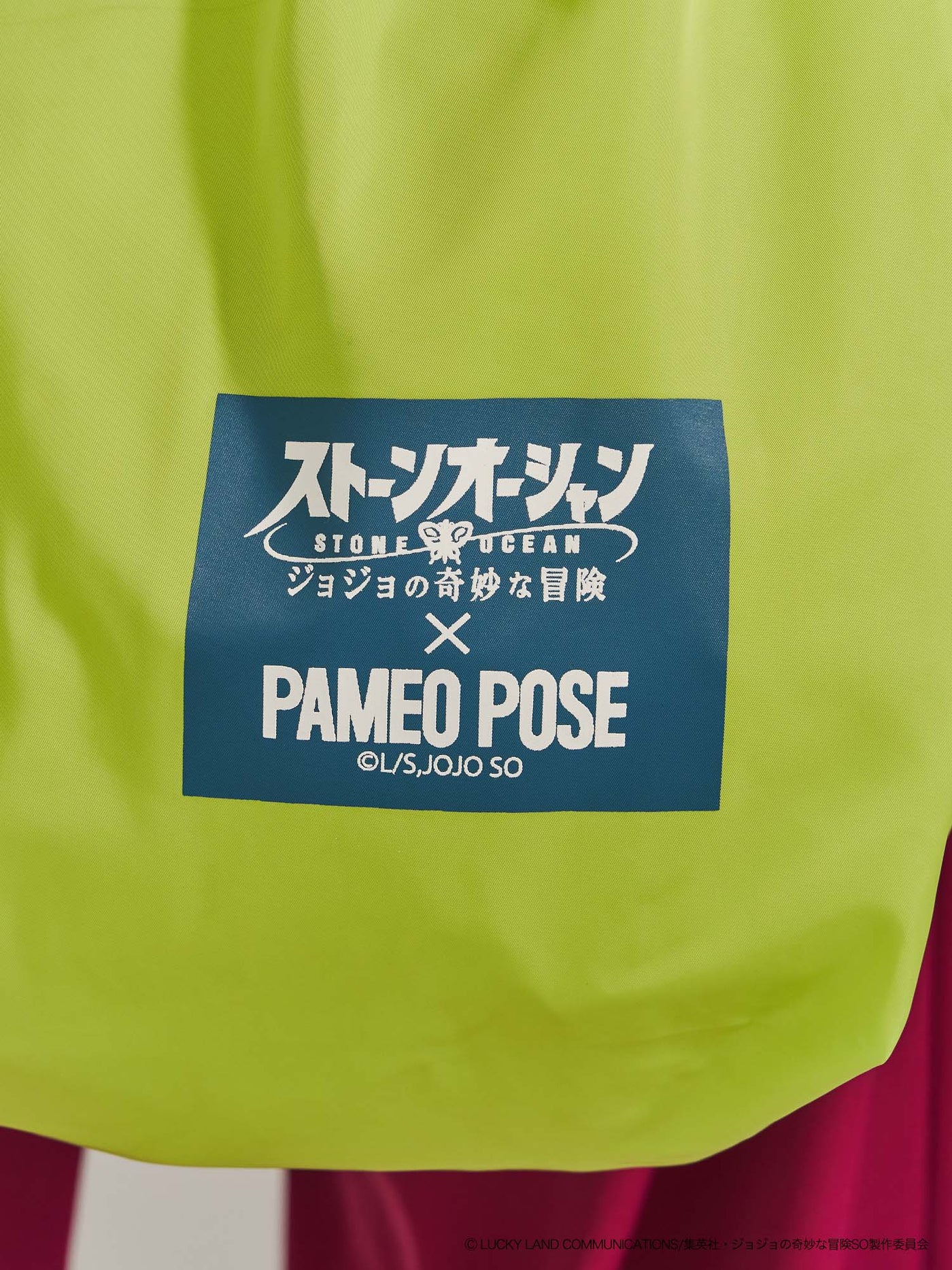 ジョジョの奇妙な冒険 ストーンオーシャン×PAMEO POSE】エコ