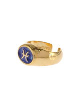 Pisces Plate Ring