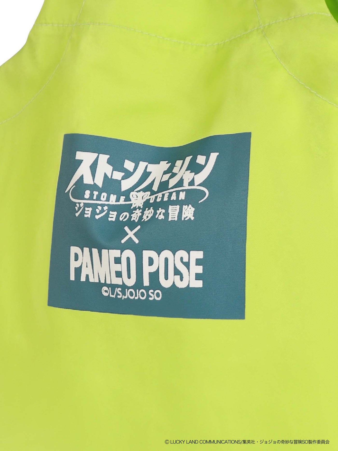 ジョジョの奇妙な冒険 ストーンオーシャン×PAMEO POSE】エコ